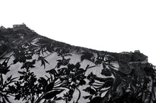 Load image into Gallery viewer, Gothic Sexy Off-Shoulder Velvet Lace Top TW611