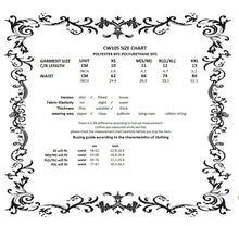 Load image into Gallery viewer, Multi-Buckle Tech-Punk Waist Cincher CW105 - Gothlolibeauty