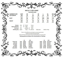 Load image into Gallery viewer, Deep V-neck gothic pleated blouse IW112-1