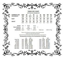 Load image into Gallery viewer, Punk Mesh Panel Knit Top TW662