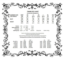 Load image into Gallery viewer, Dark Rebel Shadow Gothic Punk Hooded Vest TW688